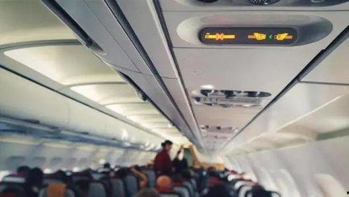 飞机最新爆料视频网  第2张